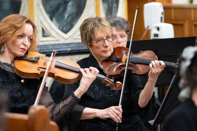 MS_250208_1668_hr MS_250208_1668_hr